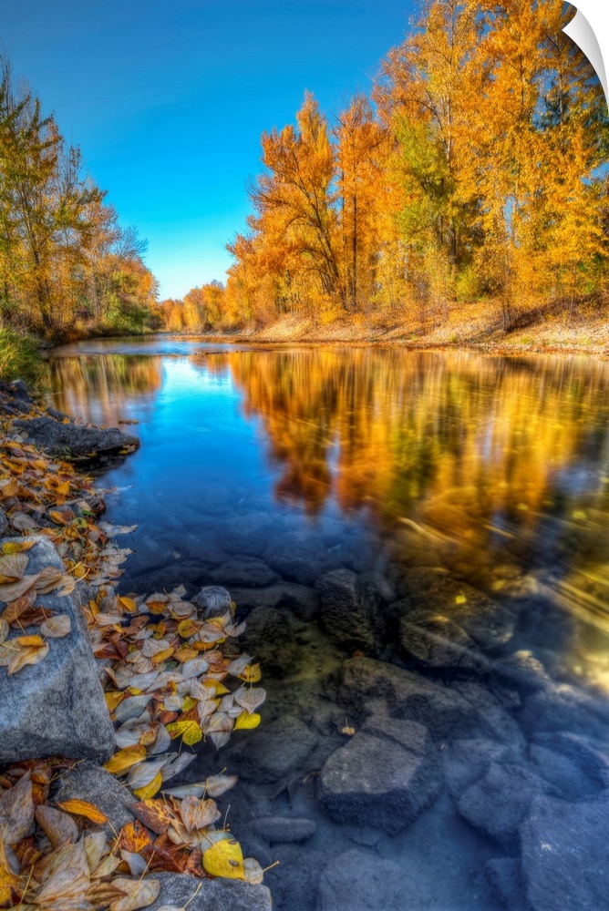 A clear blue sky fall day with colorful trees reflecting along Mission Creek British Columbia, Canada.