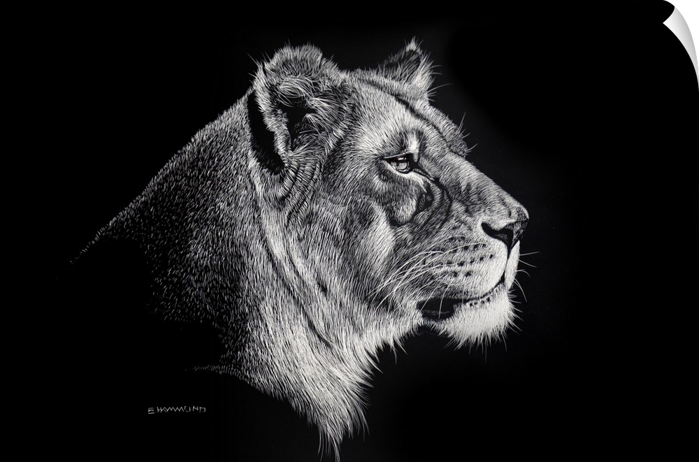 The power of this scratchboard is the beautiful eye of this Lioness. She is staring at her cubs and this piece shows the s...
