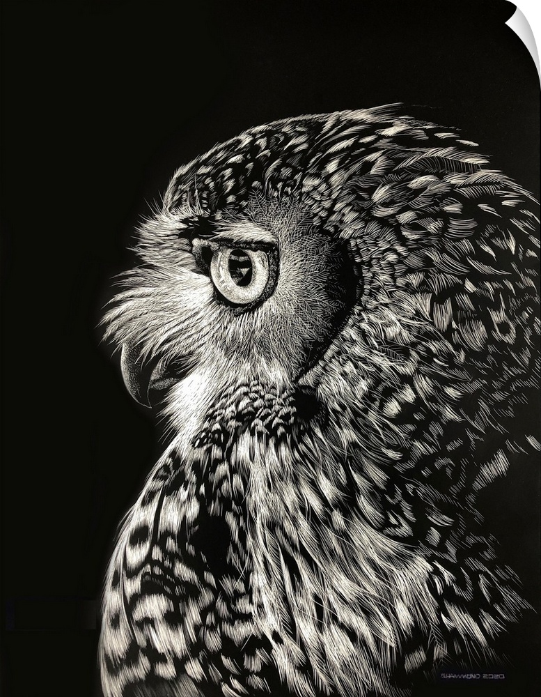 This scratchboard of a beautiful barred Owl Profile shows the amazing detail feathers around the huge eyes and a head full...