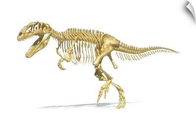 3D rendering of a Giganotosaurus dinosaur skeleton