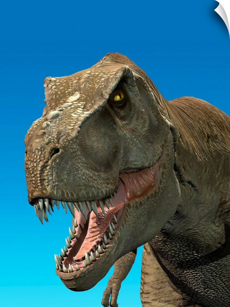 3D rendering of Tyrannosaurus Rex, close-up.