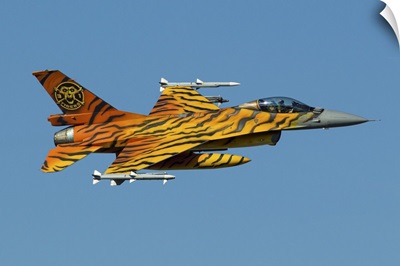 A Belgian Air Component F-16 Fighting Falcon In Tiger Colors For The NATO Tiger Meet