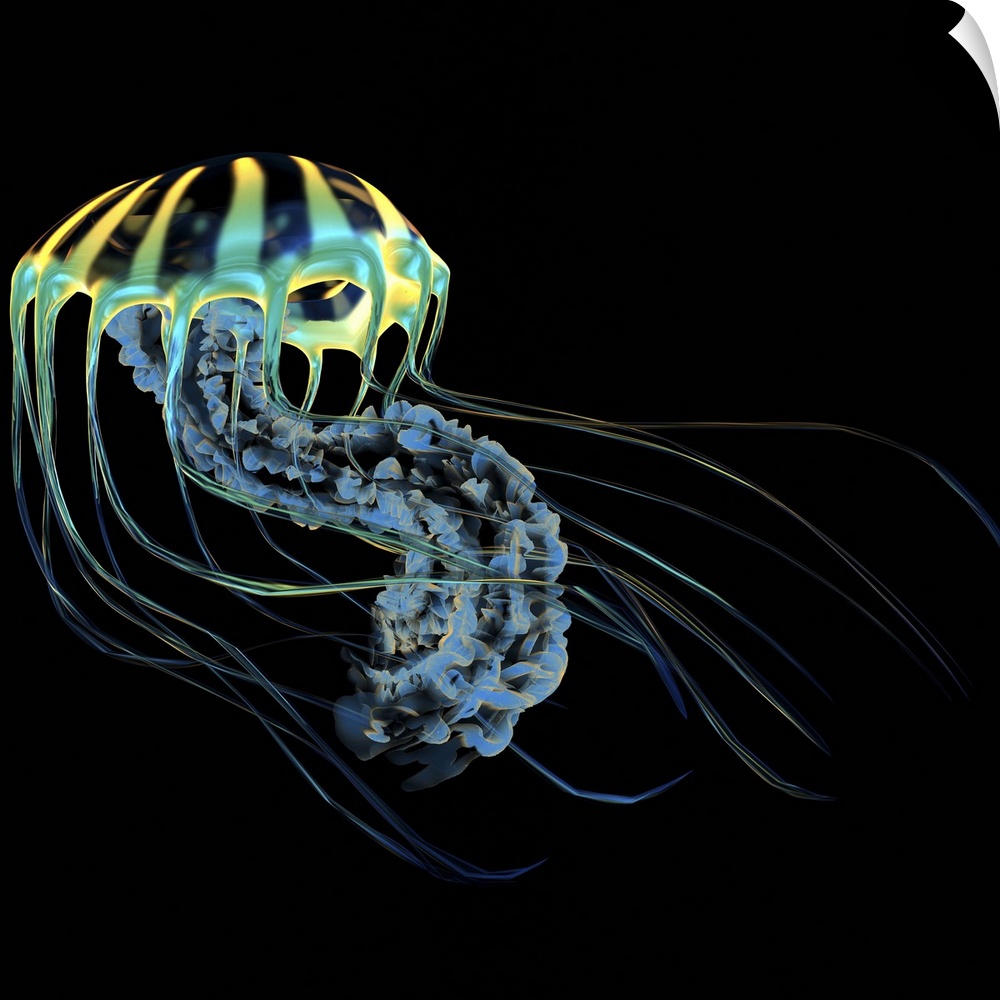 A bioluminescent Jellyfish is a predator catching small fish and organisms with their poisonous tentacles.