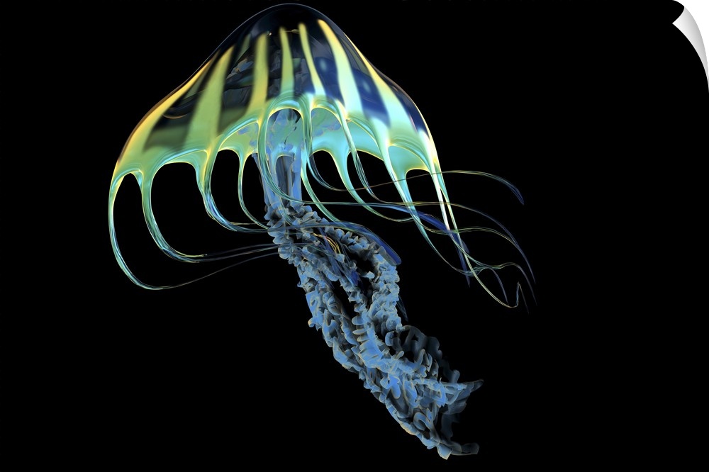 A bioluminescent Jellyfish is a predator catching small fish and organisms with their poisonous tentacles.