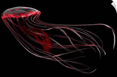 A bioluminescent red jellyfish
