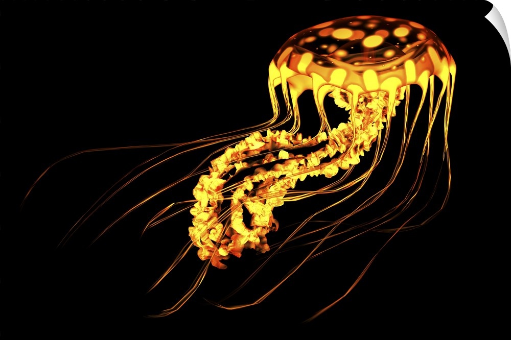 A brightly colored jellyfish swims in deep ocean waters with bioluminescence.