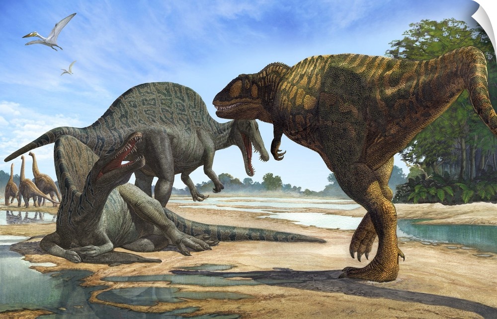A Carcharodontosaurus invades the territory of two Spinosaurus dinosaurs.
