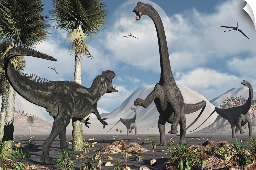 A carnivorous Allosaurus confronts a giant Diplodocus herbivore during the Jurassic period on Earth.