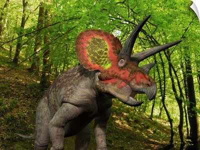 A colorful Triceratops wanders a Cretaceous forest