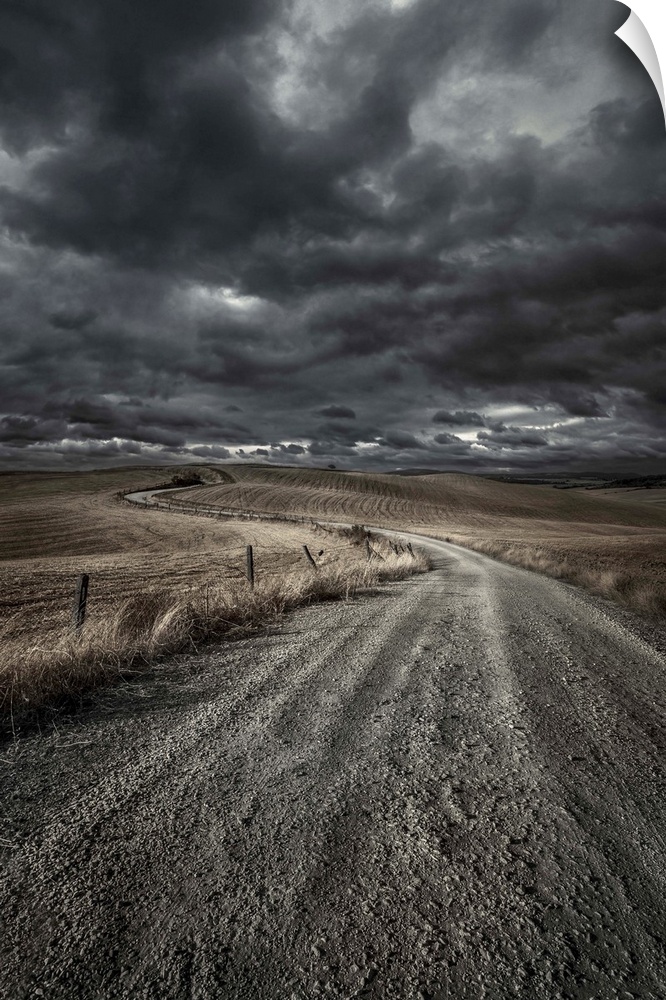A country road in field with stormy sky above, Tuscany, Italy.