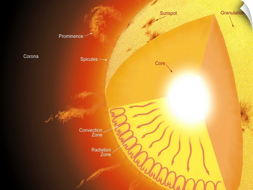 A cutaway view of the sun, showing its different parts and the currents that flow within it.