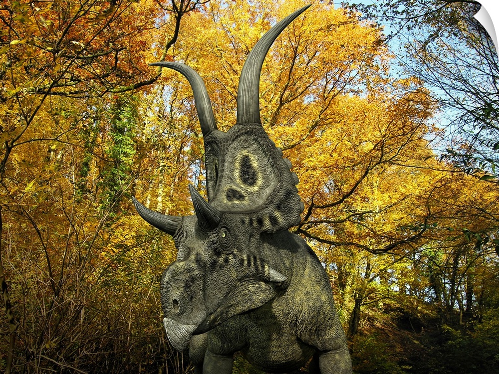 A one ton, 20 foot long Diabloceratops wanders a Cretaceous forest 70 million years ago in what is today Utah.Like the bet...