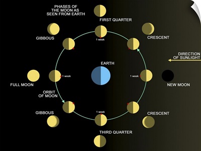 A diagram showing the phases of the Earths moon