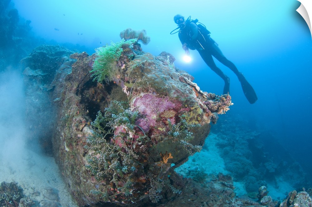 A diver explores the wreck of a U.S. truck, Solomon Islands.