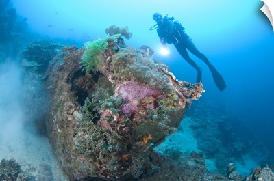 A diver explores the wreck of a US truck, Solomon Islands