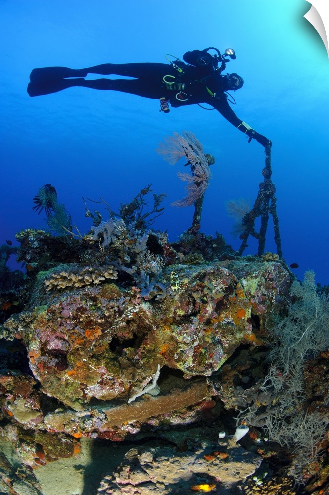 A diver hangs on to a piece of WW2 stern wreckage, West Papua, Indonesia.