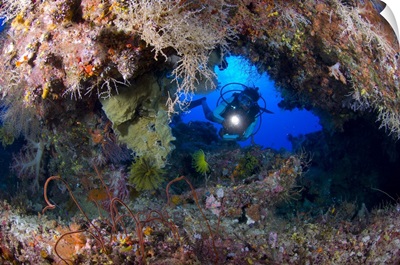 A diver peers through a coral encrusted archway, Papua New Guinea