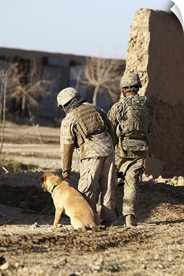 A Dog Handler Takes Care Of His Military Working Dog