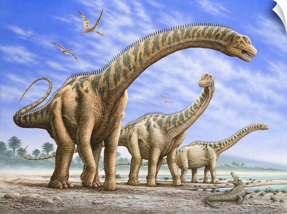 A group of Argentinosaurus dinosaurs. Ornithocheirus fly overhead, while a Deinosuchus tries to scare them away below.