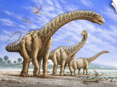 A Group Of Argentinosaurus Dinosaurs With Ornithocheirus Flying Overhead