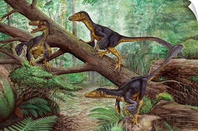 A group of Balaur bondoc in a prehistoric environment