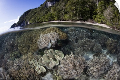 A healthy coral reef grows along the edge of limestone islands in Raja Ampat, Indonesia.