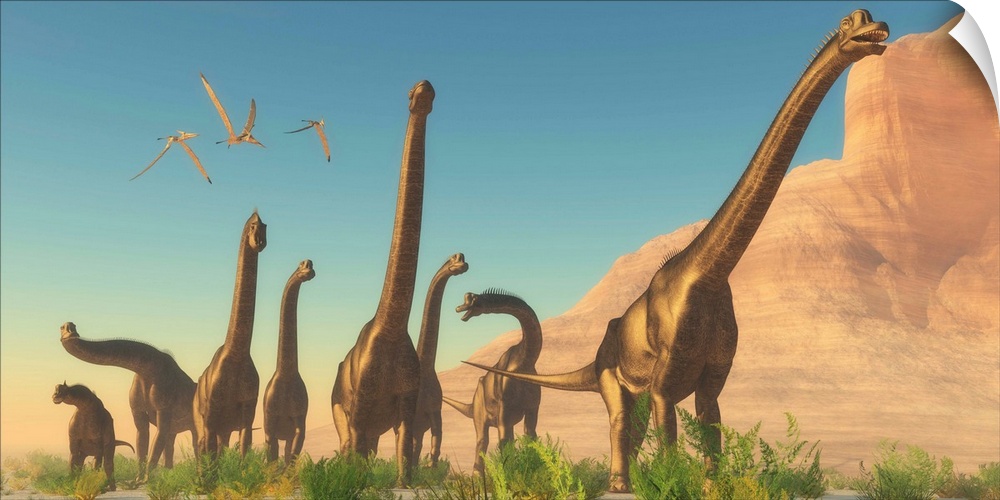 A herd of Brachiosaurus travel near a canyon mountain.