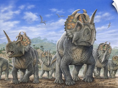 A Herd Of Centrosaurus Dinosaurs