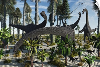A herd of Diplodocus dinosaurs feeding on plants