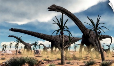 A herd of Diplodocus dinosaurs walking in a desert landscape