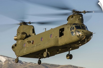 A Nevada National Guard CH-47 Chinook helicopter