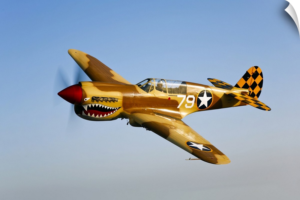 Landscape photograph on a big canvas of a P-40N Warhawk in flight in a clear blue sky, near Chino, California.  Painted wi...