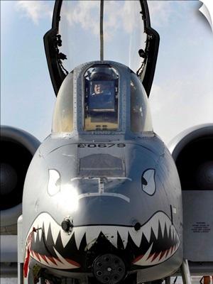 A pilot prepares to dismount his A-10C Thunderbolt II