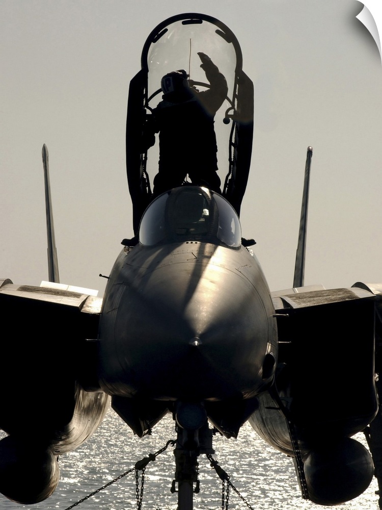 A Sailor cleans the canopy of a F-14B Tomcat.