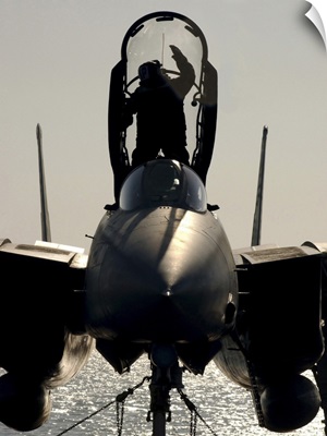 A Sailor cleans the canopy of a F-14B Tomcat