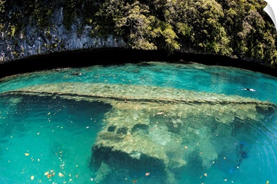 A shipwreck now serves as an artificial reef in Palau's inner lagoon