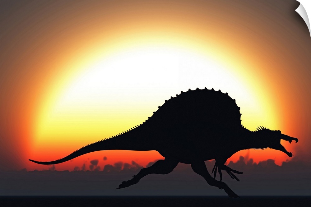 A silhouetted Spinosaurus sprinting against a setting set at the end of another Jurassic day.