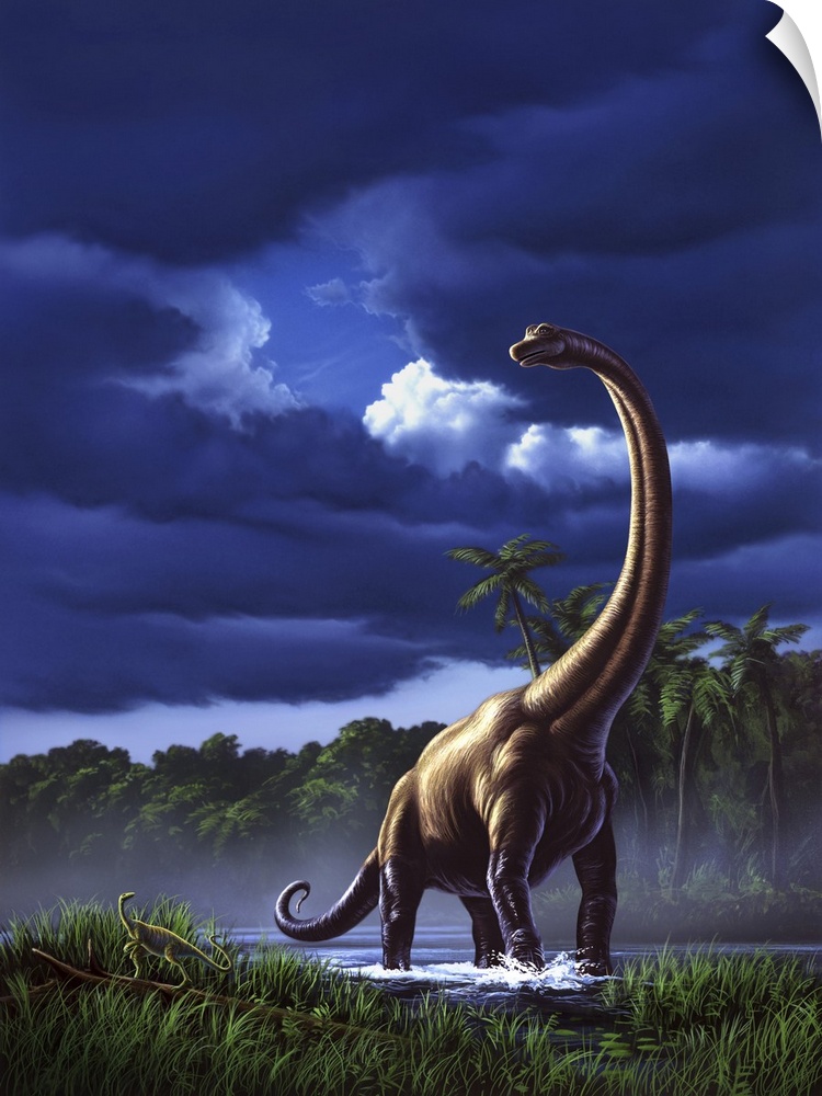 A startled Brachiosaurus splashes through a swamp against a stormy sky.