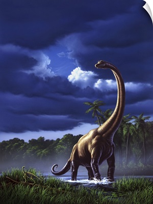 A startled Brachiosaurus splashes through a swamp against a stormy sky