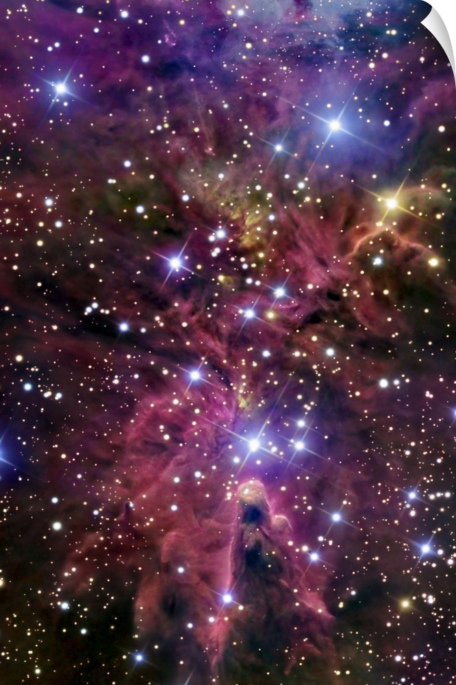 This large piece consists of a cluster of bright stars with warm colored gases throughout.