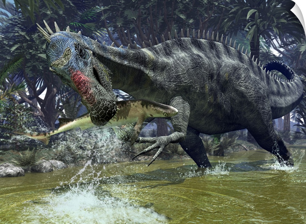 A five ton, Early Cretaceous Suchomimus snags a shark from a lush estuary near the ancient Tethys Ocean in what today is N...