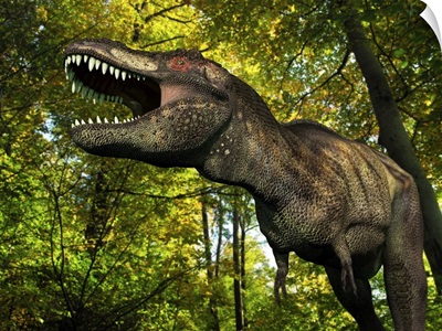 A Tyrannosaurus wanders a Cretaceous forest