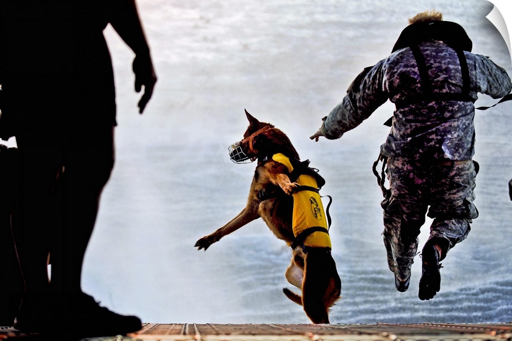 March 1, 2011 - A U.S. Soldier with the 10th Special Forces Group and his military working dog jump off the ramp of a CH-4...