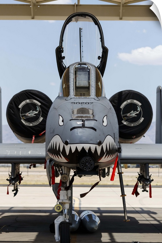 A U.S. Air Force A-10 Thunderbolt II parked at Davis Monthan Air Force Base.