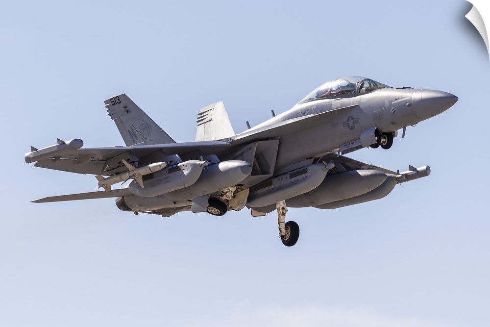 A U.S. Navy E/A-18G Growler taking off from Nellis Air Force Base, Nevada.