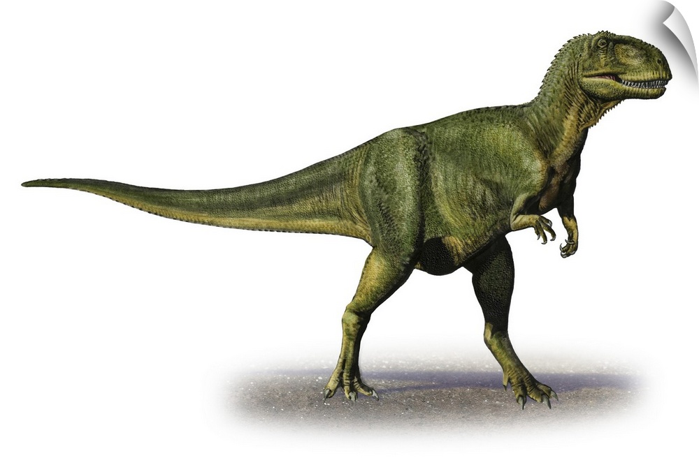 Abelisaurus comahuensis, a prehistoric era dinosaur.