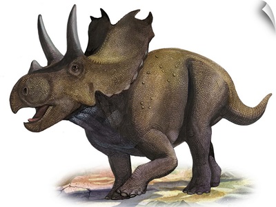 Agujaceratops mariscalensis, a prehistoric era dinosaur