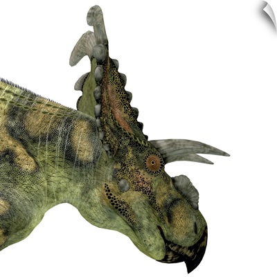 Albertaceratops dinosaur