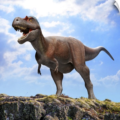 Albertosaurus Sarcophagus Dinosaur Standing On A Rock