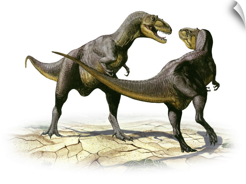 Alectrosaurus olseni, a prehistoric dinosaur.